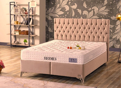 CAMA HERMES